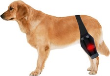 Foclassic Dog Knee Brace for ACL Dog Leg Brace, Large