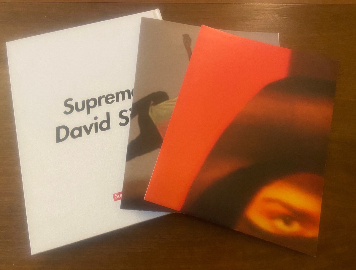 supreme david sims 写真集 supreme 写真集 David sims David Sims Supreme - David Sims