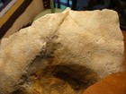 Bild 6 von 12