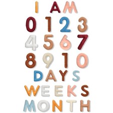 29 Pcs Felt Baby Monthly Milestone Decor Numbers and Letters Newborn Birth Ph...
