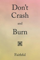 Pamela Green | Don't Crash And Burn | Taschenbuch | Englisch (2014) | Xlibris