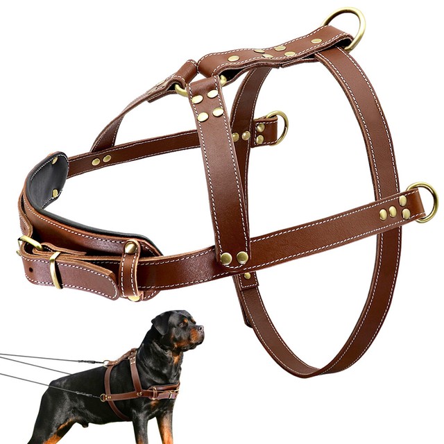Heavy Duty Genuine Leather Large Dog Training Harness Pitbull