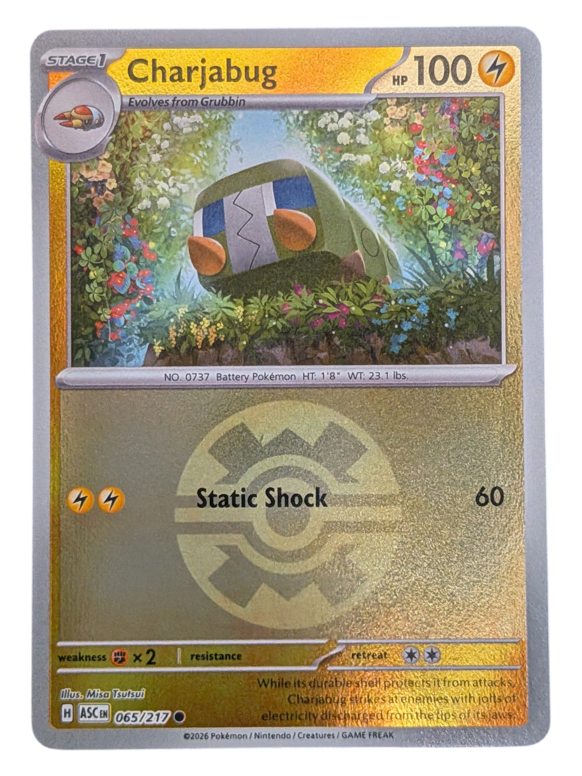 Charjabug (Quick Ball) 065/217 Me: Ascended Heroes Reverse Holo