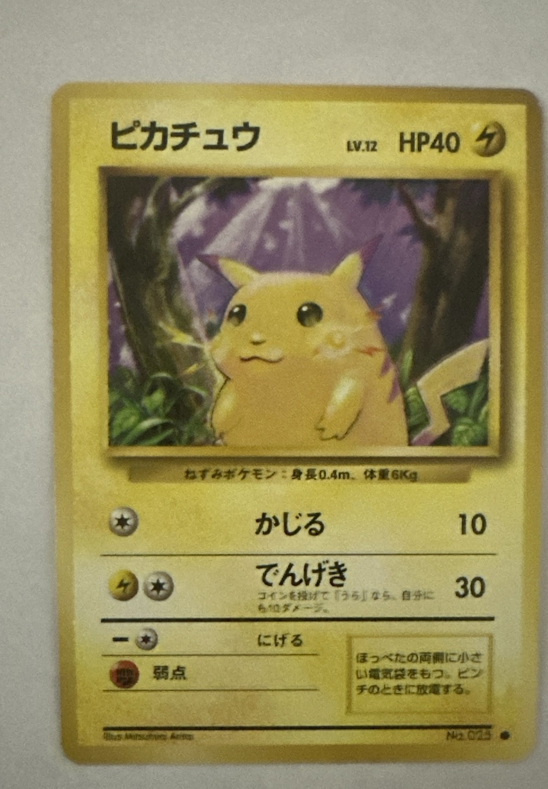 Pikachu Expansion Pack Regular (Japanese)