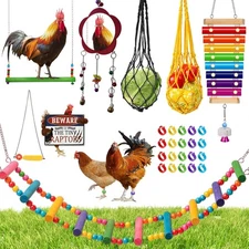 Chicken Accessories Set - 18 Pack Coop Toys: Swing, Ladder, Swings & More