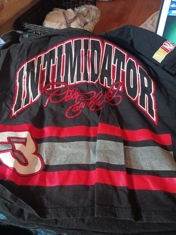 Vintage 90s Dale Earnhardt Intimidator T-Shirt Nutmeg Racing NASCAR Men’s XL