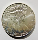 2013 American Silver Eagle Dollar Coin United States Mint 0.999 1oz BU