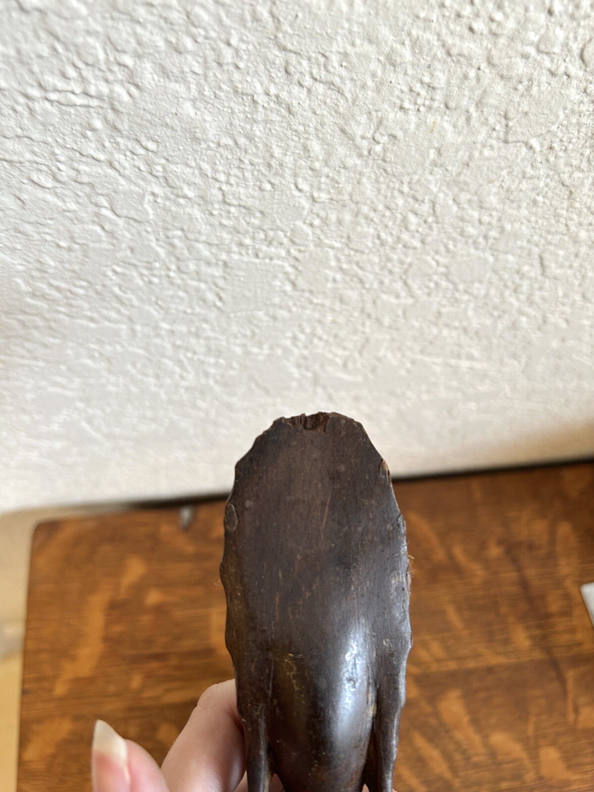 Picture 5 of 8