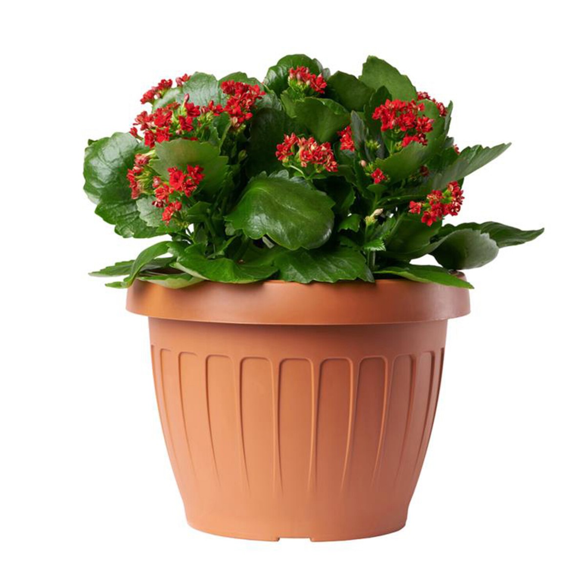 Fioriera Rotonda In Rattan - Grigio Beige - Cestino In Vimini Con - Foto 5