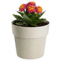 Howhomely Blumentopf Pflanzgefäß H11Xb13Cm ÜBertopf Pflanztopf Beige Geriffelt