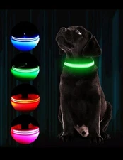 LED Glowing Dog Pet Rechargeable Waterproof Collar Night Light Large Red