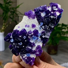 222G Natural beautiful blue purple window frame cubic fluorite mineral crystal