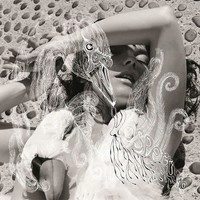 BjöRk: BjöRk: Vespertine - Bertus Musikvertrieb - (Lp / V)