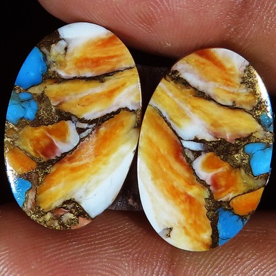 29.25 Cts. SPINY OYSTER COPPER TURQUOISE PAIR CABOCHON LOOSE TREATED GEMSTONE