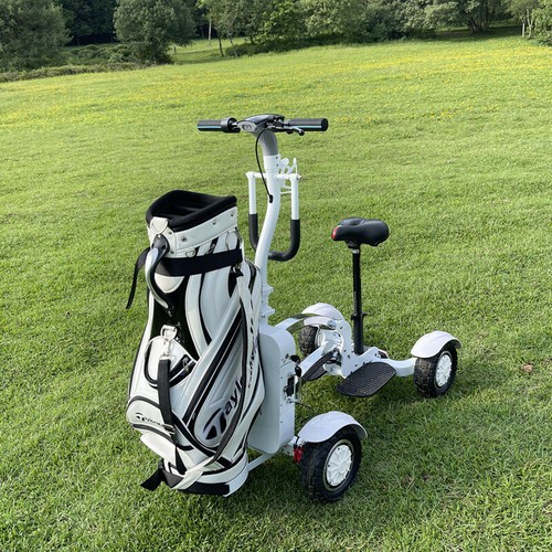 48v Li-Battery Folding 4 Wheels Golf Push Cart Electric Scooter 2400W - Picture 3 of 6
