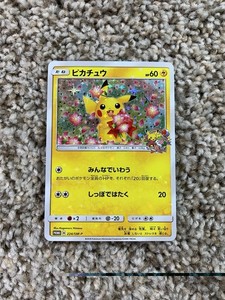 Pikachu 224 Sm P | eBay