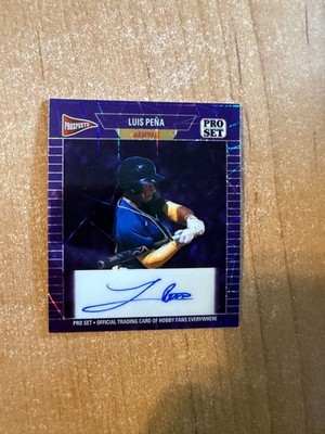 2026 Leaf Pro Set Metal Baseball - Luis Pena - Purple Laser 1989 Mini Auto 1/1