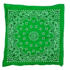 Vintage 15187 Hav-A-Hank Western Paisley Lime Green Scarf Bandana 20" x 20"