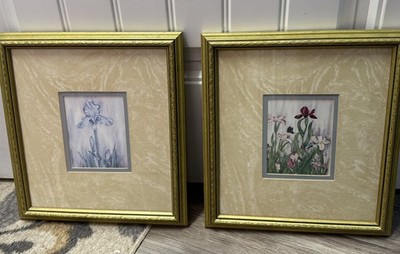 Carmel Foret Framed Iris Art Lithographs Framed Prints Set Of 2