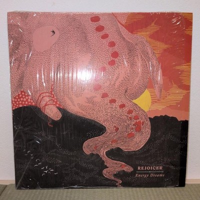 Rejoicer Energy Dream Stones Throw LP LoFi HipHop Vinyl Record
