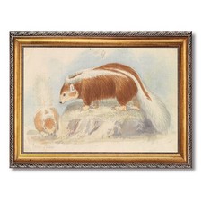 Cute Skunk Pair Wall Art Canvas Oil Paintings Reproduction