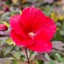 flowerpowertreasures