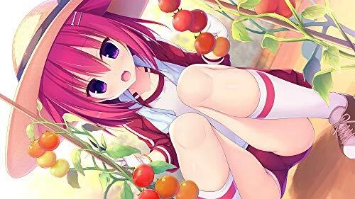 Nintendo Switch Raspberry Cube HAC-P-AT8FA romance adventure game iMel NEW - Image 3 of 4