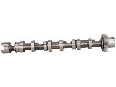 Nockenwelle FÜR AUDI Q7 4L 3.0 A6 C6 2.7 3.0 A4 B7 2.7 3.0 B8 2.7 3.0 A8 D3 3.0
