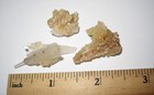 3 SMALL RARE NATURAL 0.75"-1.4" SCOLECITE & GOLDEN CALCITE CRYSTAL CLUSTERS 8.5g — photo 8