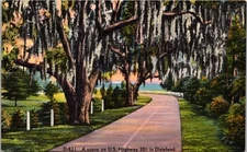 Unposted Linen Postcard- A Scene on US Highway 301 in Dixieland USA
