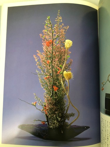Kleines Ikebana Sogetsu alle Bände Erstausgabe Set Kasumi Teshigahara JAPAN - Bild 17 von 21