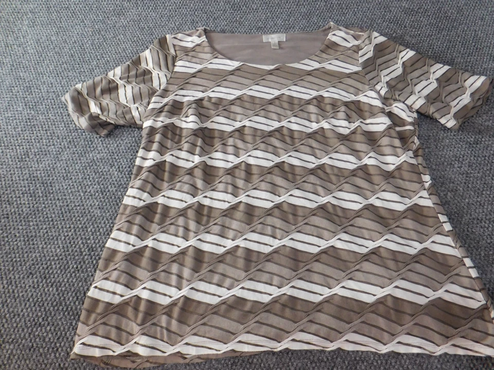 Blusa Dressbarn Mujer 2X Plus Gris Rayas Jersey Top Elástico Clásico Forrado Foto 2 de 4