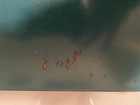 Vintage Makita Metal Drill Case Steel Case . 11 3/4” L X  9 3/4” W X  3” D. Used — photo 4