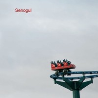 Senogul - Vinyl Record - F72Z