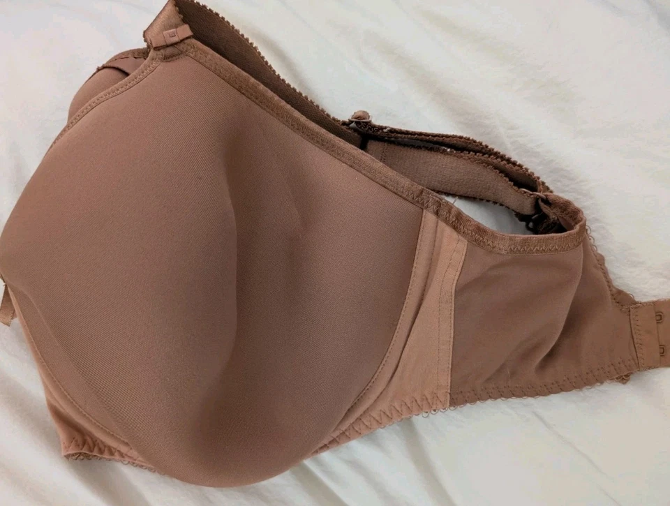 Sujetador Camiseta Fantasie Cinnamon FLfl101310 Forrada con Aros Rebecca Talla 34H 34 K Foto 3 de 3