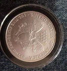 2007 American Silver Eagle US Mint $1-coin 1oz .999 Silver