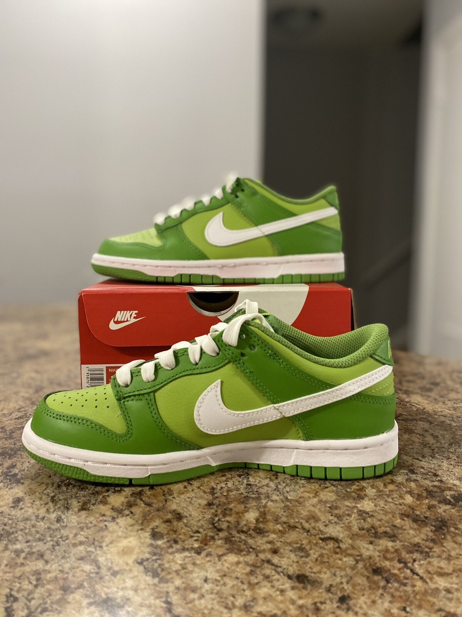 Nike Dunk Low Chlorophyll (GS) DH9765-301 Size 3.5Y New Authentic