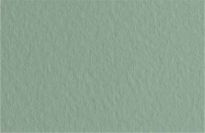 Pack Of 10 Tiziano Gr.160/Sq. M Cm.70x100 Sage | Fabriano