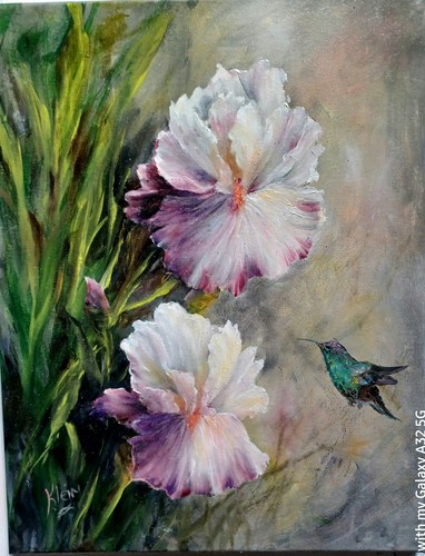 BEAUTIFUL IRISES AND HUMMINGBIRD Original 14x18 Oil Canvas Floral Artist Klein