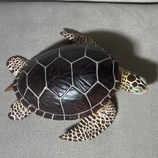Sea Turtle Adult 7.5" Safari Ltd 2005 Hard Rubber Large Realistic Loggerhead