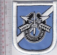 US Army Alaska 38th Special Forces Company Airborne In-Country NO TARIFF