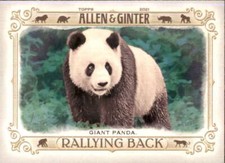 2021 ALLEN AND GINTER RALLYING BACK #RB-2 GIANT PANDA NM-MT