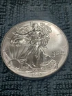 2013  SILVER EAGLE DOLLAR 1 OZ. 999 FINE, FREE SHIPPING