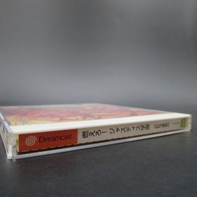 Project Justice Rival Schools Dreamcast with Manual Japanese Version