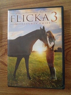 Flicka 3 - Beste Freundinnen | Guter Zustand