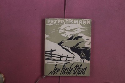 413906 Peter Eismann DER STEILE PFAD Paulus Verlag Ein Jungenbuch HC