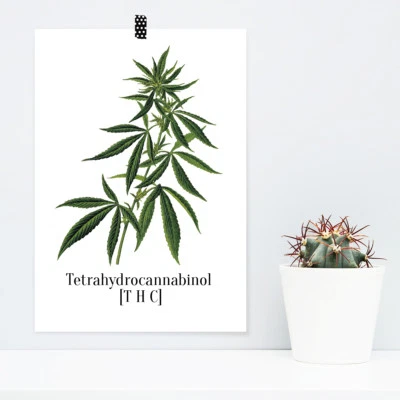 JUNIWORDS Poster "Tetrahydrocannabinol [THC]" Hanf Pflanze Geschenk DIN A4 A3 - Bild 1 von 4