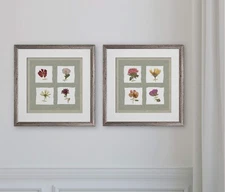 Wexford Home Pressed Blooms I -2 Piece Set Art Print, 16X16, Silver