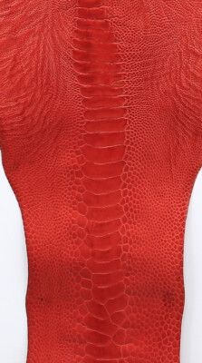 5 Ostrich Legs Skin Leather Kopp Red GL Grade B in one bundle