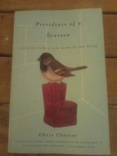 Providence of The Sparrow